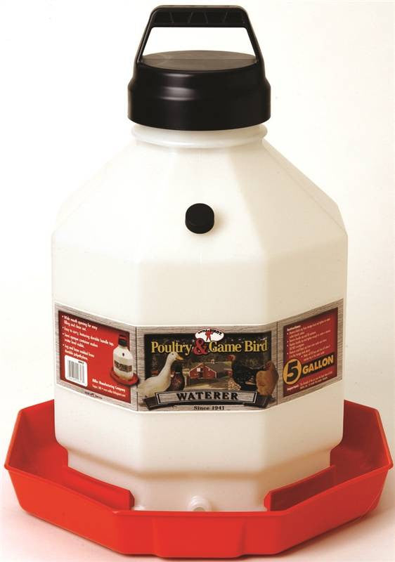 5gal Plastic Poultry Fountain