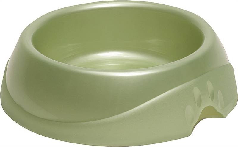 8cup Dish Jumbo