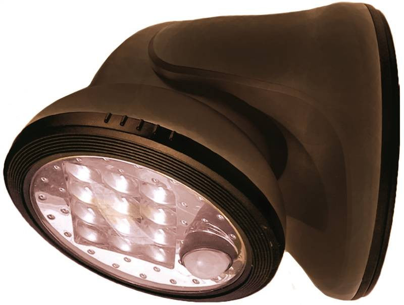 Porch Light 12 Led Bronze
