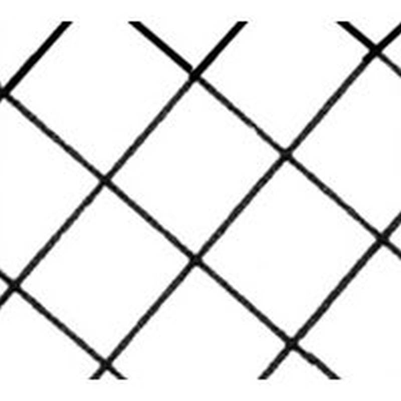 Reinforced Poly 20x100ft 6mclr