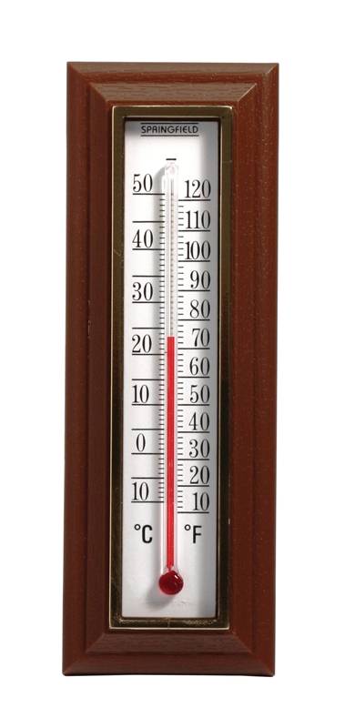 Thermometer Indoor
