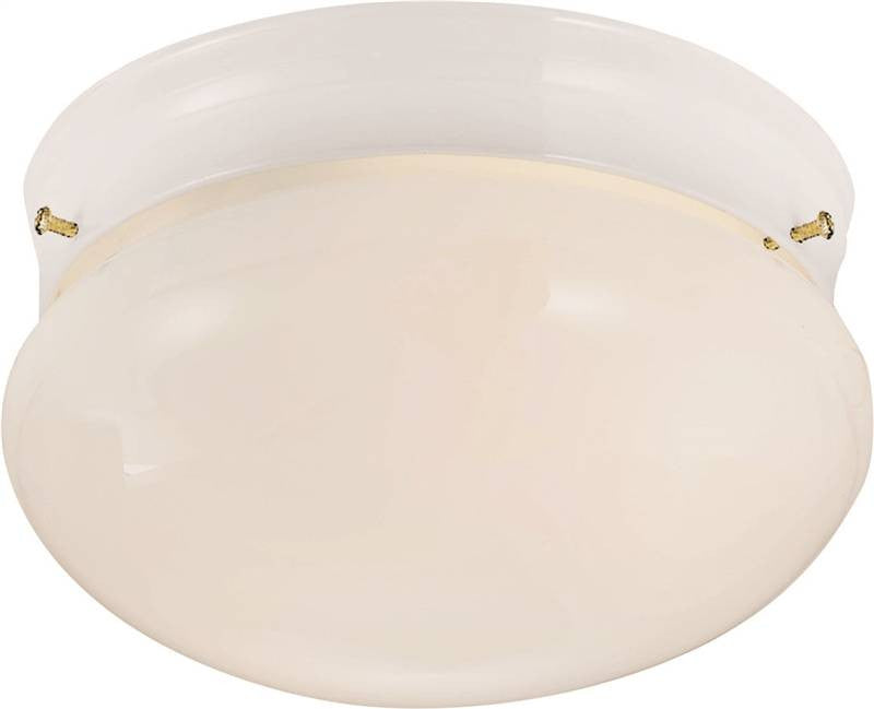 Light Ceiling 2lt Flushmnt Wht