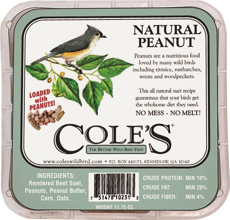Seed Bird Suet Peanut