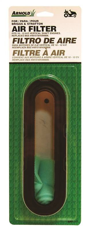 Filtr Papr B&s No491519-399806