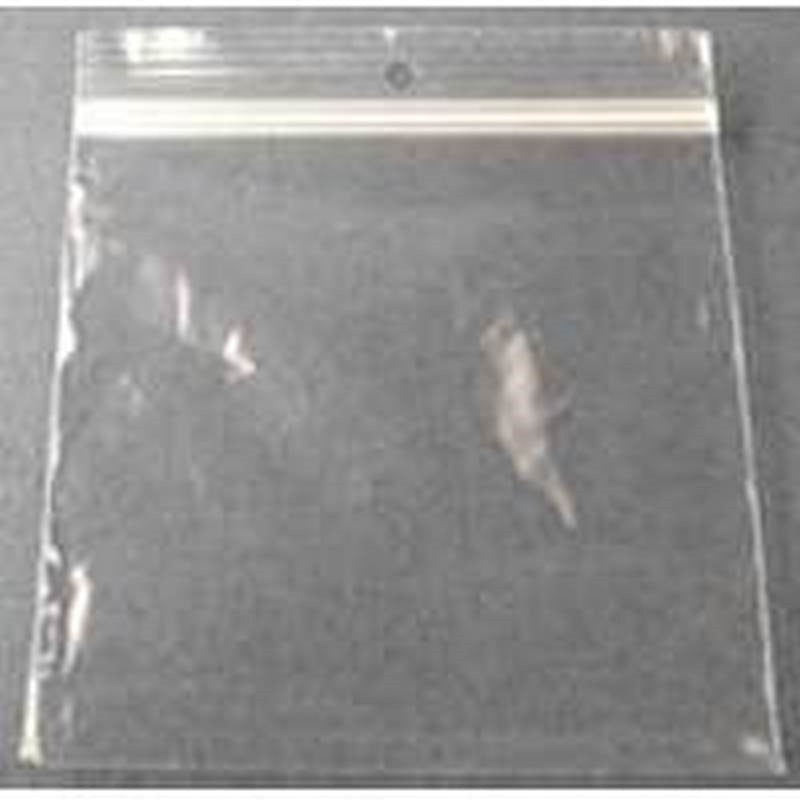 Bag Plastic With Hang Hole 4x6