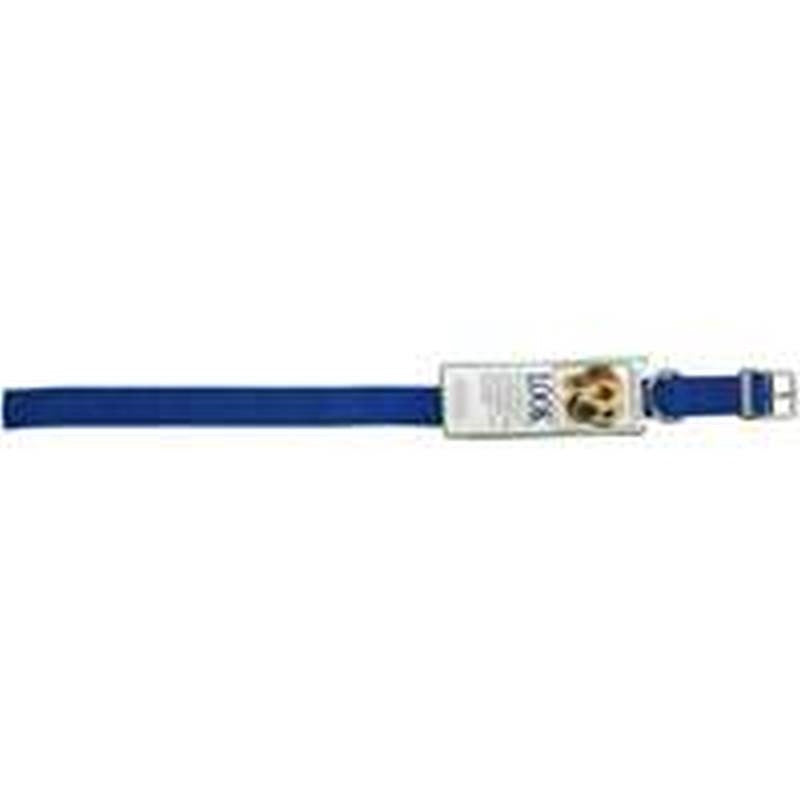 22 X 1in Nylon Collar Royal