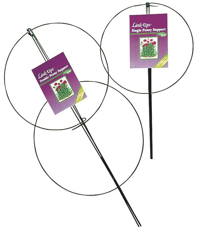 14x24in Sgl Grn Peony Support