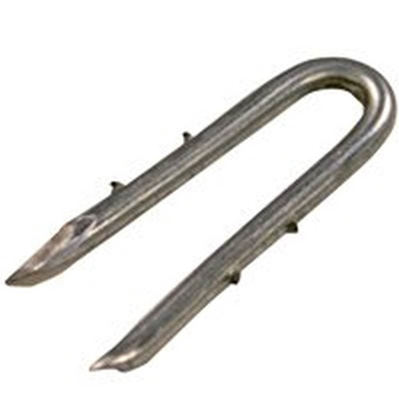Staple Dbl Barb Lock2 In 50lb
