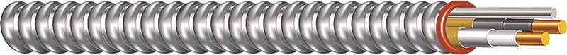 Cable Armored Steel 12-2 100ft