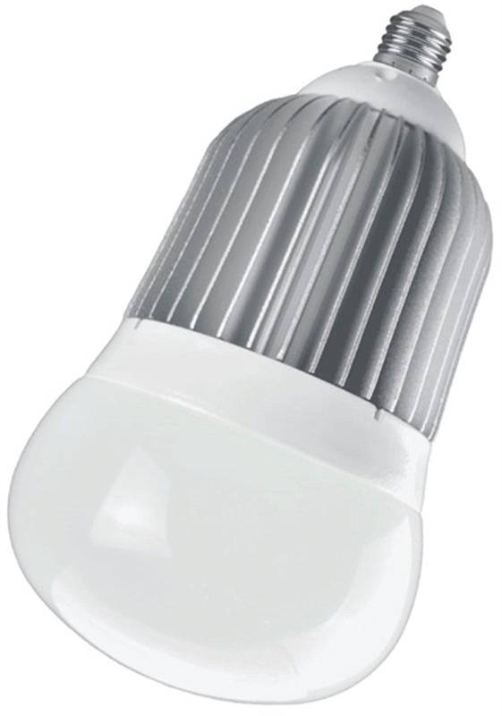 Bulb Big Led 2570l Edison Base