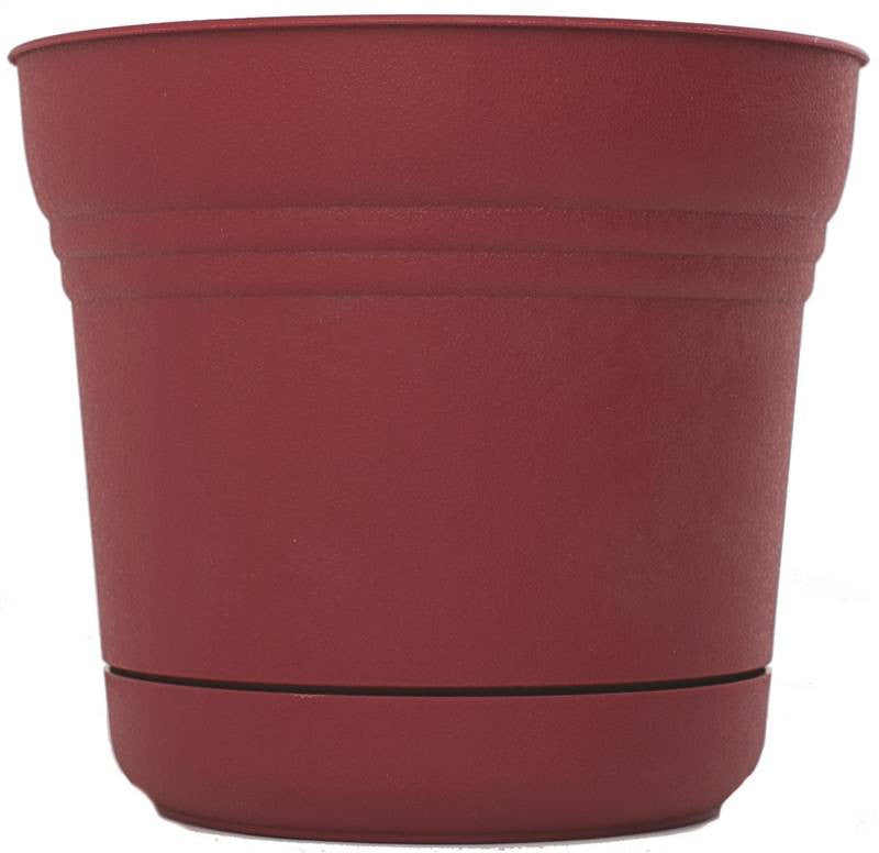 Planter 10in Union Red Saturn