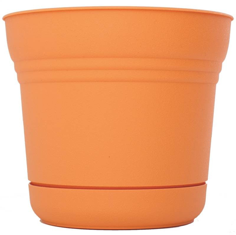 Planter 10in Tequila Sunrise