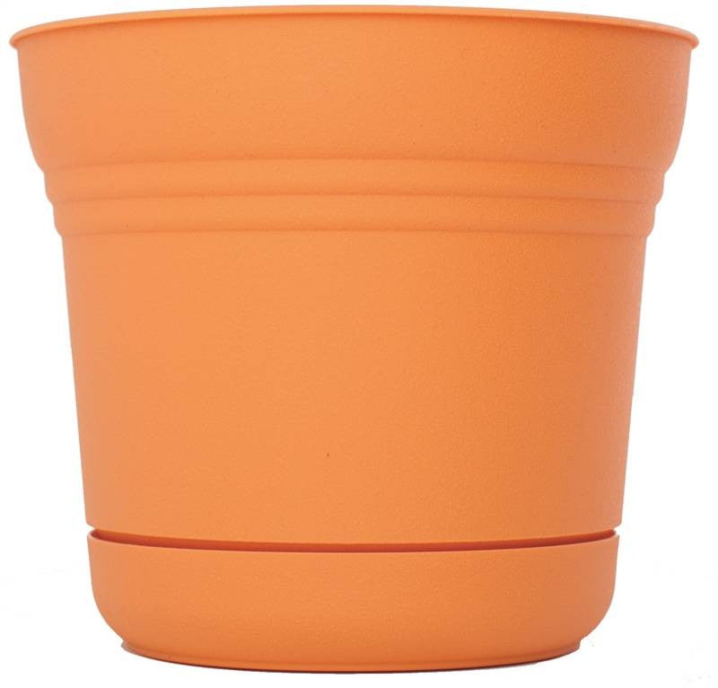 Planter 12in Tequila Sunrise