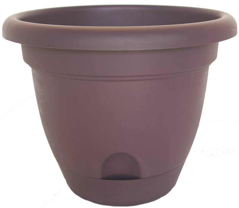 Planter 10in Exotica Lucca