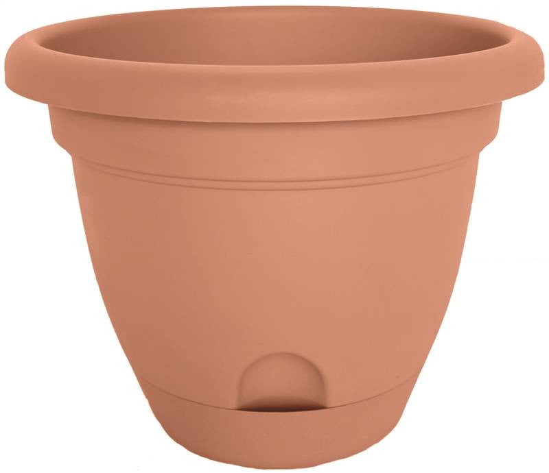 Planter 12in Terracotta Lucca