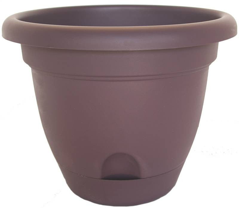 Planter 12in Exotica Lucca
