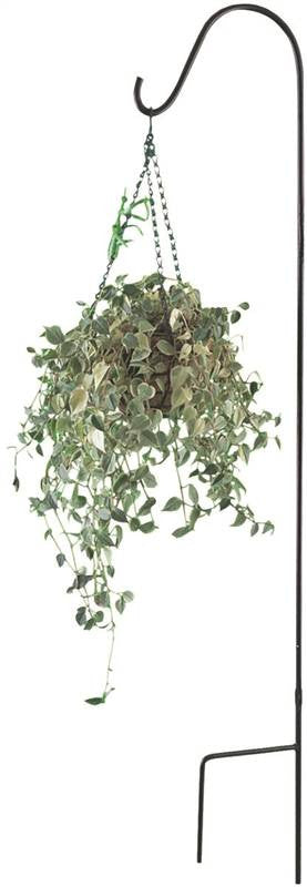 64" Single Shepherd Hook Black