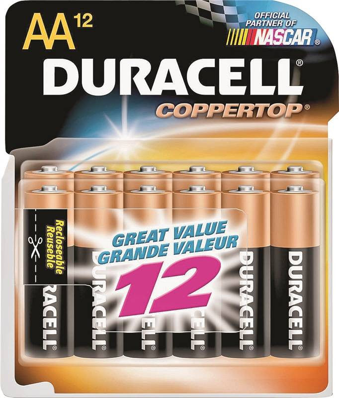 Battery Alkaline Cu Top 12-aa