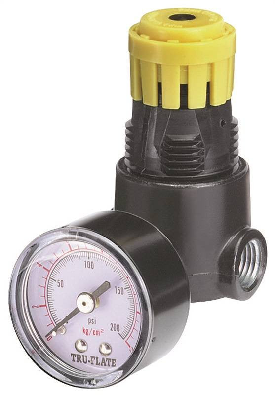 1-4in Mini Regulator