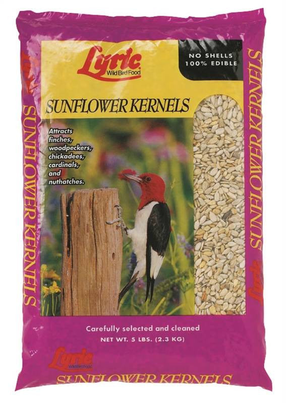 5lb Lyric Sunflower Kernels