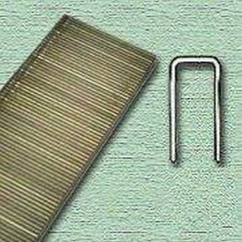 Staple Cnstrn 1-1-4 X 1 16ga