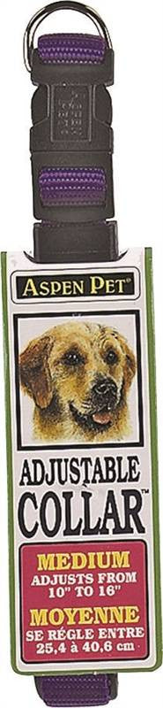 10in Nylon Blue Adj Collar