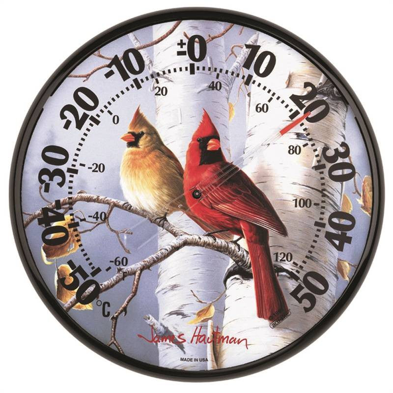 Thermometr Ind-out 12.5 Cardnl