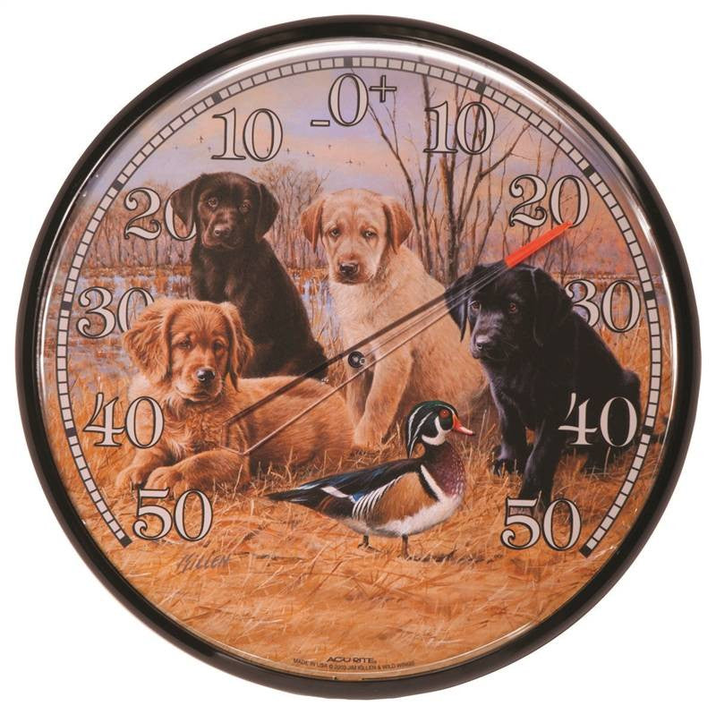 Thermometer Indr-out 12.5 Pups