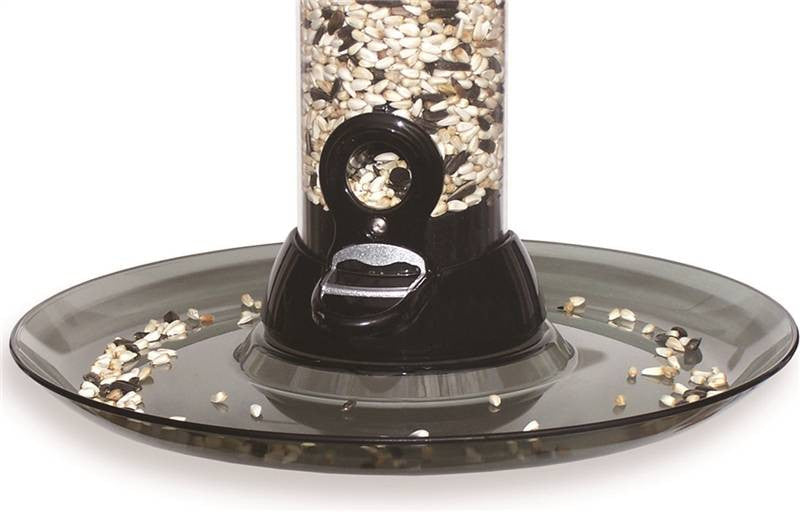 Tray Seed Clvr Cln Smk 10.5in