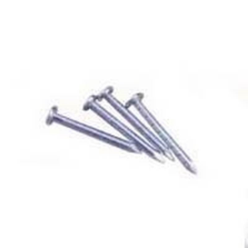 Nail Joist Hdg 1-1-2 X 10 1lb
