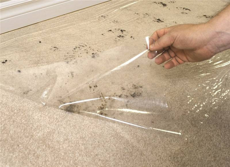 Carpet Shield 24inx500ft Clr
