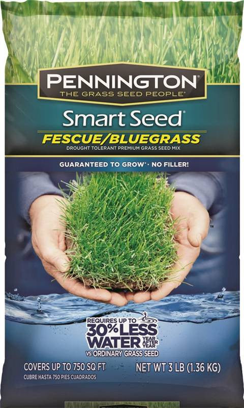 Fescue-bluegrass Mix 3#