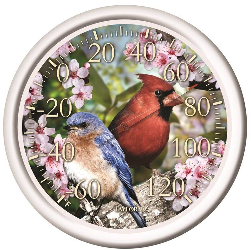 Thermometr Outd Blu Brd-rd Brd