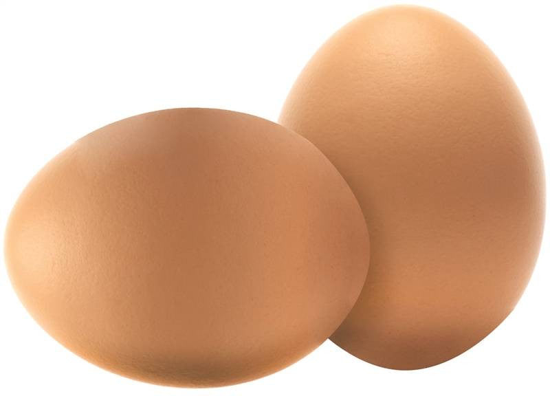 Nest Eggs Training Nat Brown