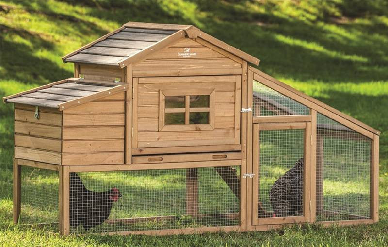 Chicken Coop Macchiato