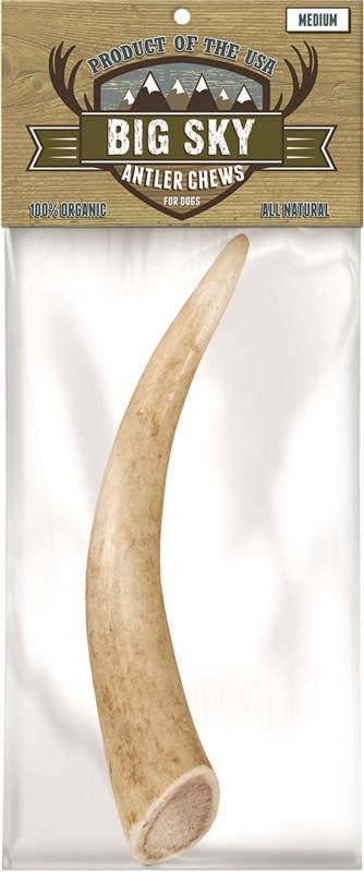 Chew Antler Medium