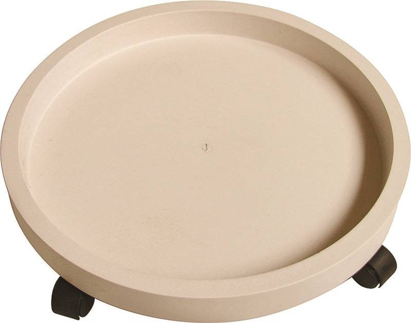 Plastic Plant Dolly White 13in