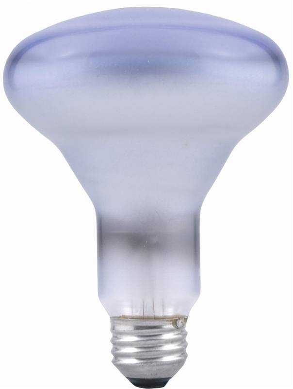 Bulb Reflec 65w Flood 1-bx