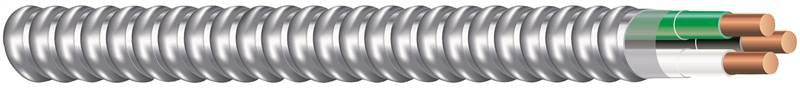 Cable Armored Metal 14-2 25ft