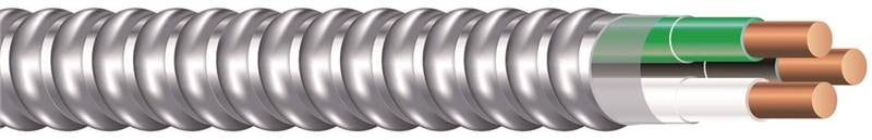 Cable Armored Metal 12-2 50ft