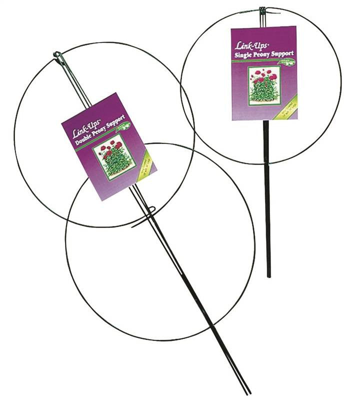 18x36in Dbl Grn Peony Support