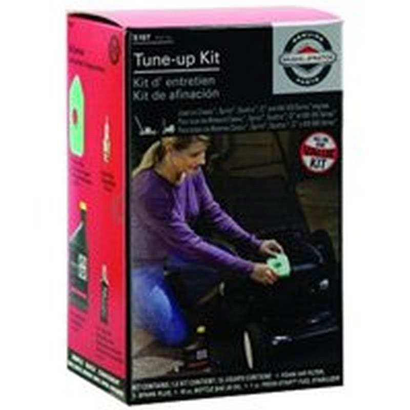Briggs Tune-up Kit