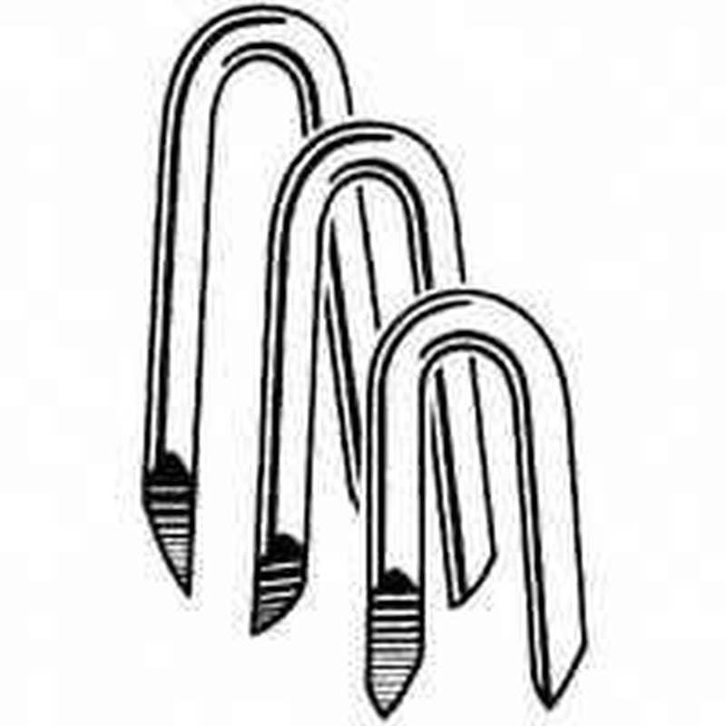 Staple Fence Eg 1-1-4 In 1lb