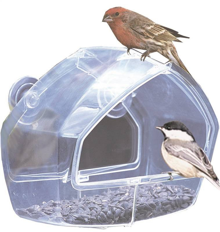 Feeder Bird Window Clear 8oz