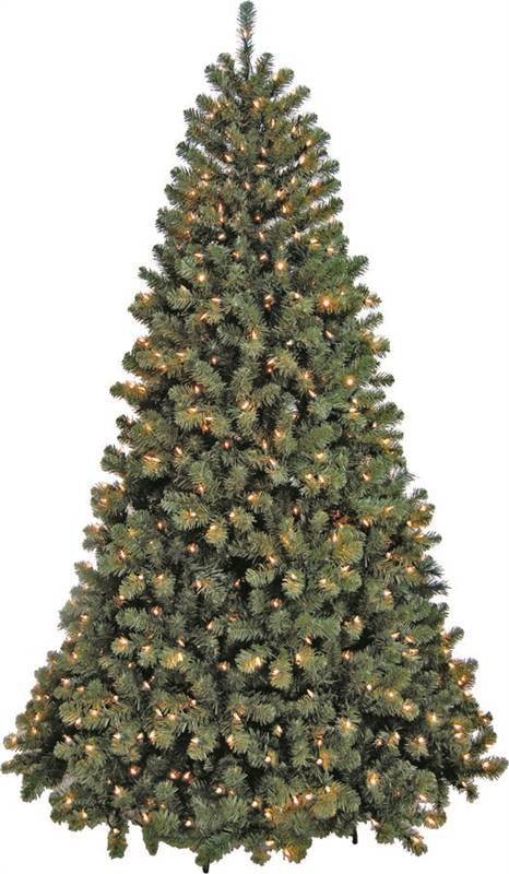 Tree Nob Fir Shear Prelit 6ft