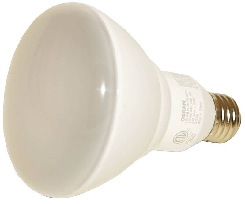 Bulb Led Ultra 65w Br30 5000k