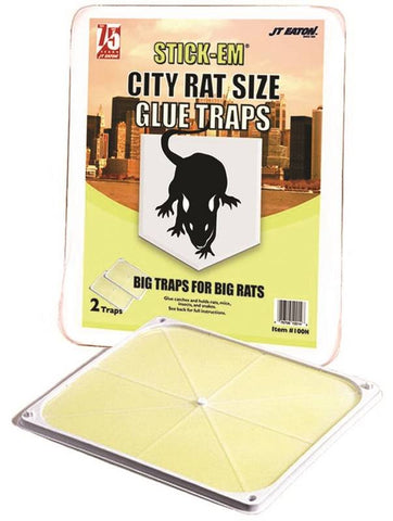 Trap Glue City Rat Snake X-lrg