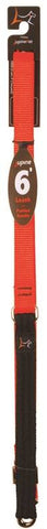 Leash Dog 3-4 6ft Blaze Orange