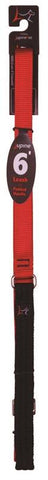 Leash Dog 3-4in 6ft Red