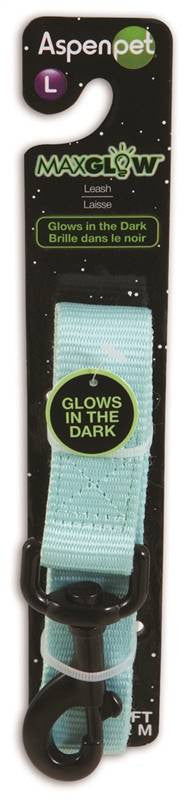 Leash Pet Glow 1inx 4ft Blue